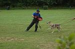 Akela in Aktion auf dem Hundeplatz