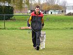 snow-wolf in obedience belgium