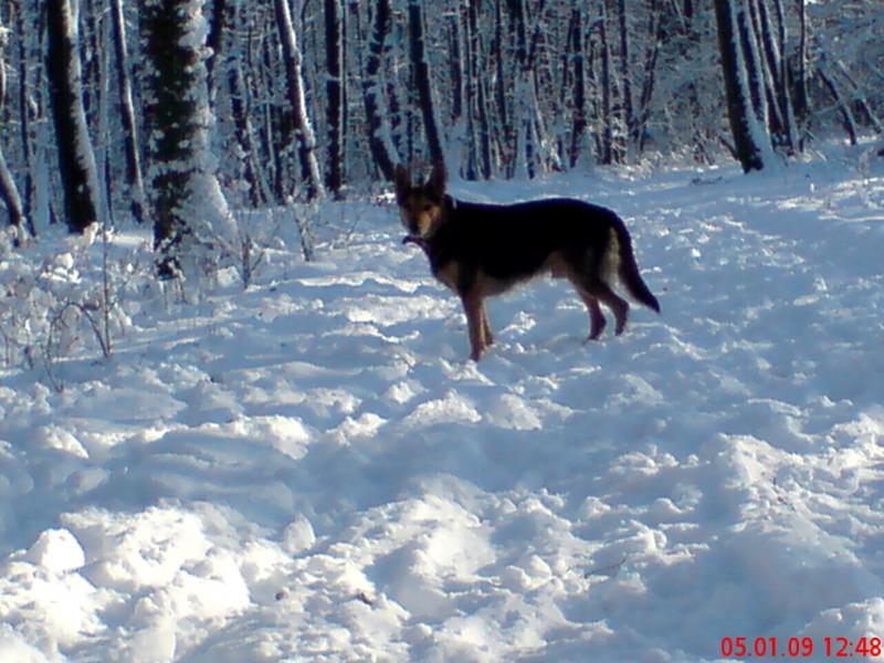 Das erste Bild im echten Schnee