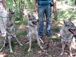 wandeling 17 juni Igor, Angel en Itar; drie broers