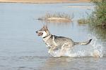 deymah, ballade en bord de loire