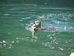 IL BAGNO NEL LAGO TOVEL