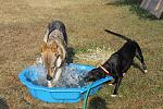 Due pazzi nella piscinetta... (Yuri e Maya)