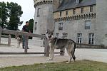 Deymah , Furcas et Fab, chateau de Sully (45)