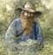 Tom Bombadil's Avatar