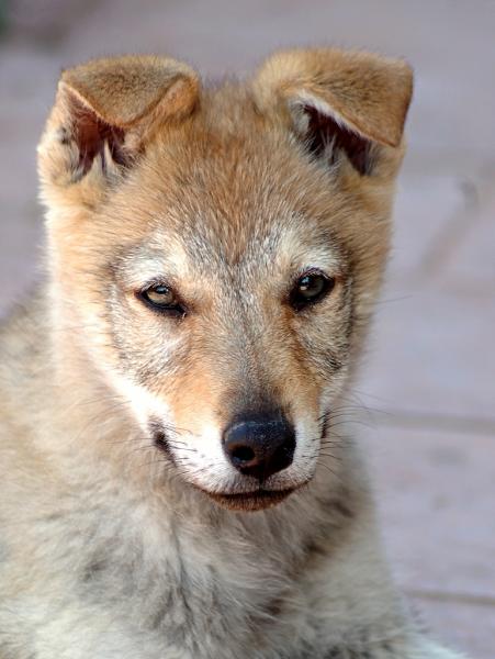 Nia když byla prcek :-)