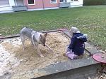 Bei der Oma in Goslar...ach der öffentliche Sandkasten...herrlich! Das Kind ist übrigens auch MEINS! ^^ 
(ca. 10Monate)