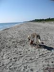 Spiaggia e palla, palla e spiaggia