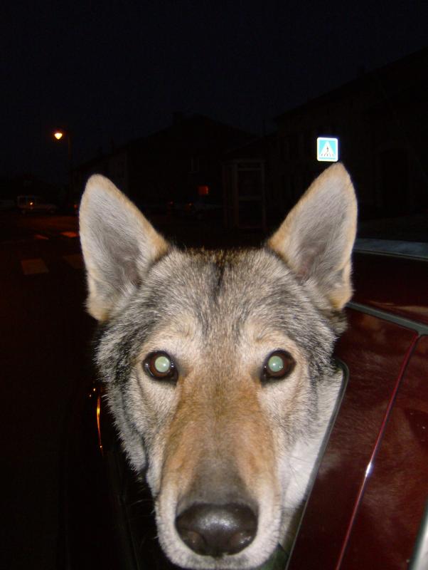 Quand t'elle regarde pas la route elle prend l'air.