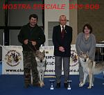 MOSTRA SPECIALE   AREZZO  BOB BOS (CAMPIONE ITALIANO)