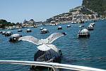 portovenere