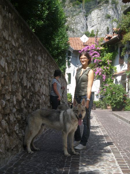 AKI 6 MESI gita lago di Garda