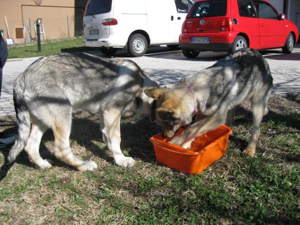 Tessa e Dora