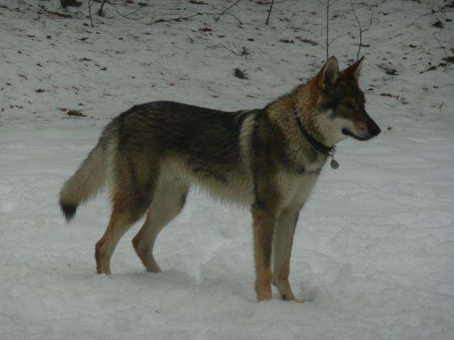 Gennaio 2011, grazie a Piero per la foto