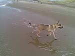 2e kersrdag op het strand